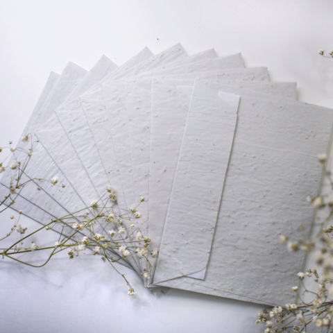 Enveloppes ensemencées x 10